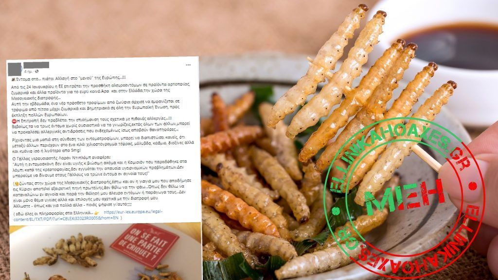Όχι, οι άνθρωποι δεν θα τρώνε έντομα «χωρίς να το γνωρίζουν» με την άδεια της ΕΕ - Featured image