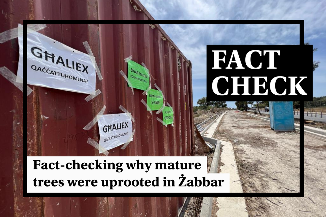 Fact-check Malta: Why were mature trees uprooted in Żabbar?