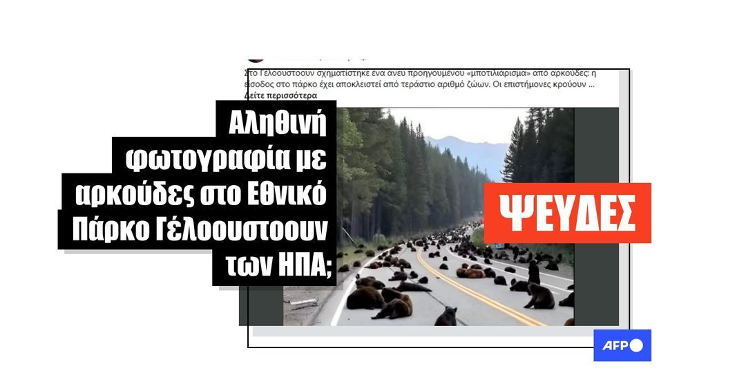 Εικόνες AI διαδίδονται για τις αρκούδες του πάρκου Γέλοουστοουν, μαζί με ψευδείς προβλέψεις για φυσικές καταστροφές - Featured image