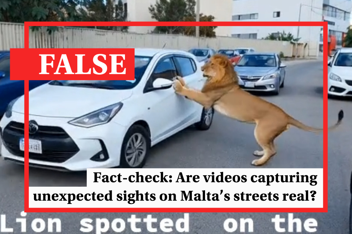 Fact-check Malta: AI-generated videos of unusual incidents on Malta’s streets
