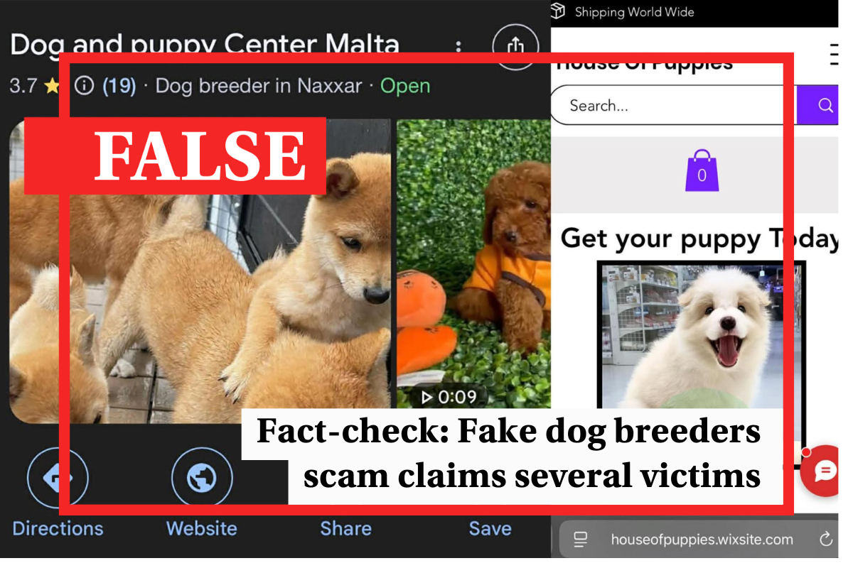 Fact-check Malta: People showing up in Naxxar to collect dogs that never existed