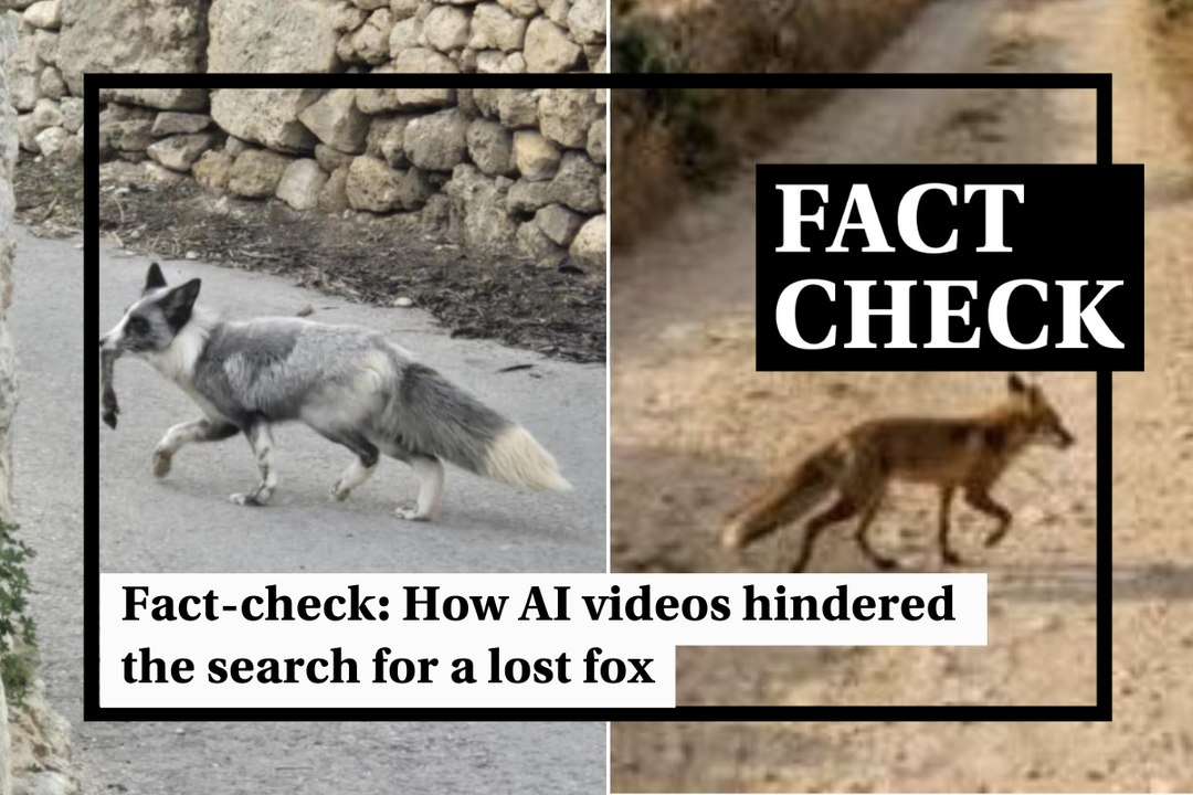 Fact-check Malta: How AI-generated fox videos sowed confusion over genuine sighting